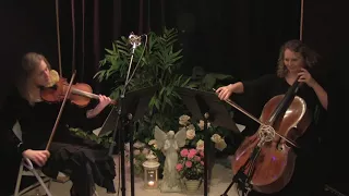 Piano Violin Cello Trio - Ave Maria (clip)