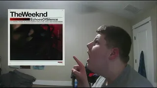 DillyBoy1k Reacts to "Echoes of Silence"