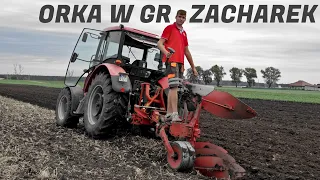 Orka pod cebulę w GR ZACHAREK✔ Proxima 8441🚜