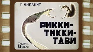 Диафильм (озвученный)  "Рикки-Тикки-Тави" 1967 года