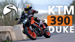 KTM 390 Duke (2024) REVIEW