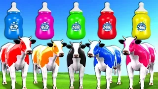 Superhero Babies Learn Colors With Cow Grass Milk Bottles - Nursery Rhymes For Kids Children