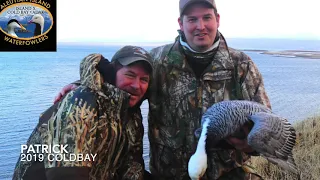 Best Emperor Goose Hunting 2019 Cold Bay Alaska