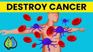 Top 11 Nutrients To Destroy Cancer Stem Cells