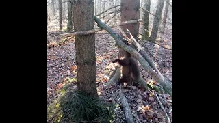 первый трофей в новом сезоне