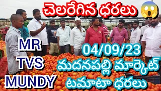 04/09/23 Madanapalle Tomato Market Price Today || Today Tomato Market Rate In Madanapalle #today