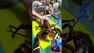 How To Kill a Lobster 🦞😳 #shorts