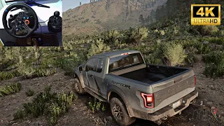 FORD F-150 RAPTOR 2017 - Offroad - Forza Horizon 5 (Steering Wheel + Paddle )