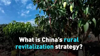 What is China’s rural revitalization strategy?