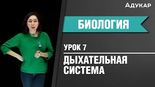 Дыхательная система человека| Биология ЦТ, ЕГЭ