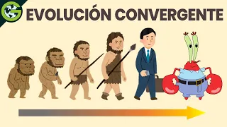 ¿Por qué TODO Evoluciona en un CANGREJO? 🦀