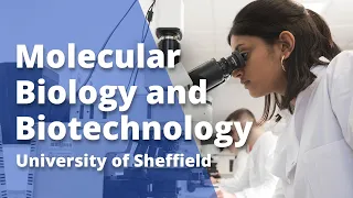 Molecular Biology and Biotechnology - University of Sheffield