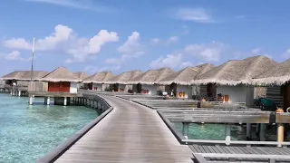 Dusitthani Maldives resort / ocean villa / welcome to dusitthani Maldives 2021