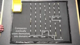 Simulation of Magnetic Domains