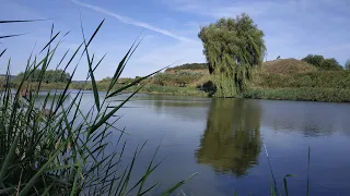 Відеозвіт рибалки від 29 08 2020 Звенигород біля Ферма