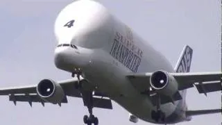 Airbus A300B4-600ST The Super Transporter "Beluga" crosswind landing in Hamburg Finkenwerder Full HD