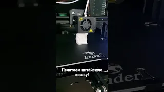 Печать китайской кошки на Ender 3