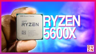 Ryzen 5600X VS 3600 VS 1600AF: The ULTIMATE 6c/12t Review