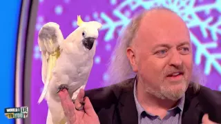 "Possession!" Bill Bailey and Jakob, the cockatoo - Would I Lie to You?