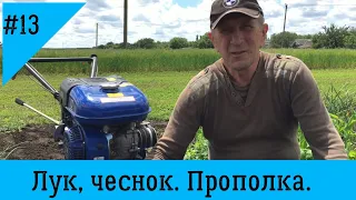 Прополка лука и чеcнока | Мотоблок ДТЗ 470Б