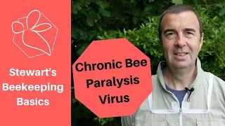Chronic Bee Paralysis Virus - Stewart Spinks at The Norfolk Honey Co.