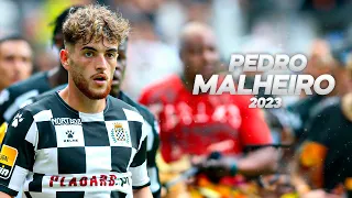 Pedro Malheiro - Modern Wingback - 2023ᴴᴰ