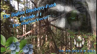 THE BIGFOOT BLUEBERRY-PATCH, EPISODE #1, "THE BIGFOOT VOCAL." Please Read Below