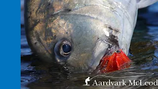 Top Ten Giant Trevally Flies