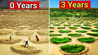 How China gobi desert Turning In GREENFOREST
