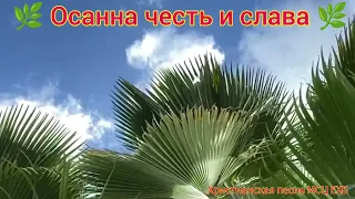 🌿 Осанна честь и слава 🌿 Христианская песня МСЦ ЕХБ.