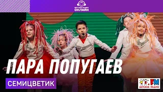 Семицветик - Пара Попугаев (Дискотека Детского радио 2021)