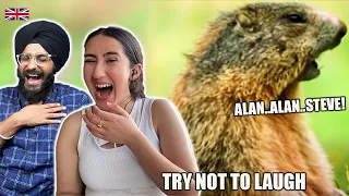 Indians React to Funny British Animal Voiceovers