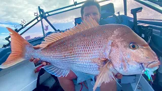 Catching Sweet ... Port Phillip Bay Sniffa's