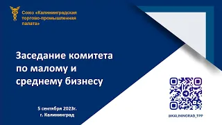 05.09.23г. Заседание комитета по малому и среднему бизнесу