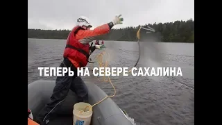 Стань Cпасателем Китов на Севере Сахалина