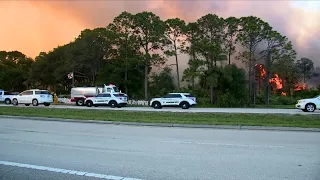 30+ acre brush fire breaks out in Palm City