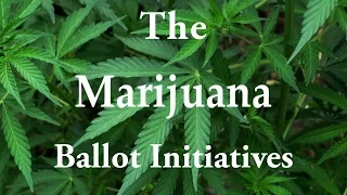 Marijuana – The Costa Mesa Ballot Initiatives