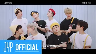 Stray Kids(스트레이 키즈) "미친 놈 (Ex)" (Feat. STAY) Guide Video