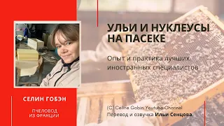 Ульи и нуклеусы на пасеке Селин Гобэн (Франция)