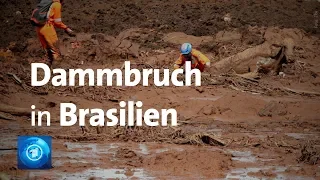 Brasilien: Hoffnung auf Überlebende nach Schlammlawine sinkt