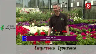 EMPRESAS LEONESAS | Viver Jardín (Mayo 2024)