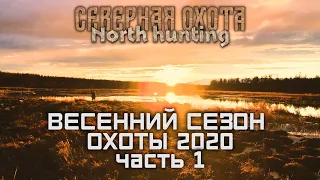 Весенняя Охота на Уток  Часть 1. СЕВЕРНАЯ ОХОТА - NORTH HUNTING