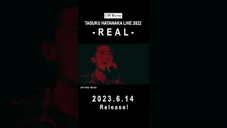 "DYWING WISH " Live Performance (from TASUKU HATANAKA LIVE 2022 -REAL-)