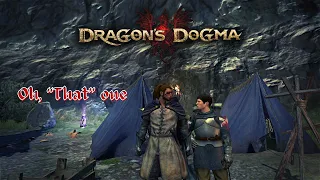 Dragon's dogma Unexpected service