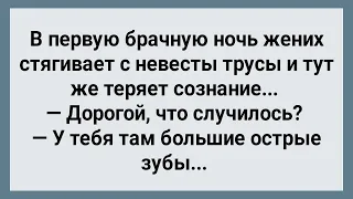 В Брачную Ночь Жених Упал в Обморок! Сборник Свежих Анекдотов! Юмор!