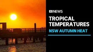 Water off Sydney warm enough for a tropical cyclone | ABC News