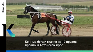 Конные бега и скачки на 10 призов прошли в Алтайском крае