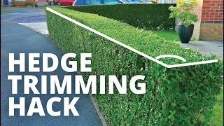 Hedge trimming hack, making it quick and easy to cut your hedges