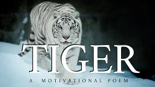 The Tyger – William Blake (Powerful Life Poetry) _ Life Quotes - Quotation & Motivation