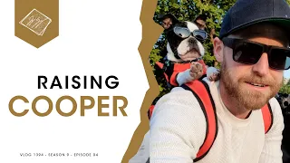 How I'm Training My Boston Terrier Puppy (Ages 2 to 7 months)